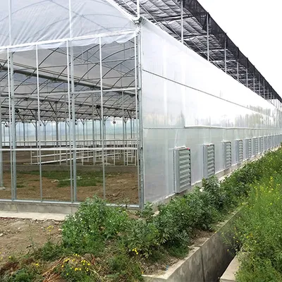 Solar Film Greenhouse