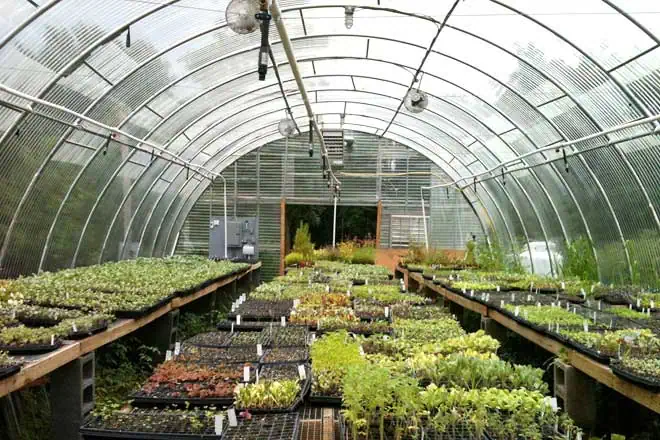 Arch Polycarbonate Greenhouse