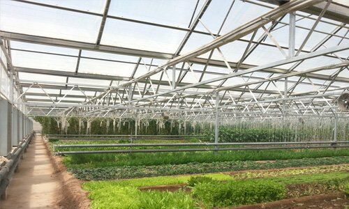 PC Greenhouse with Ventilation