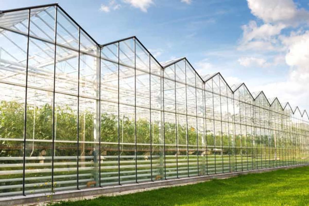 Commercial Polycarbonate Greenhouse