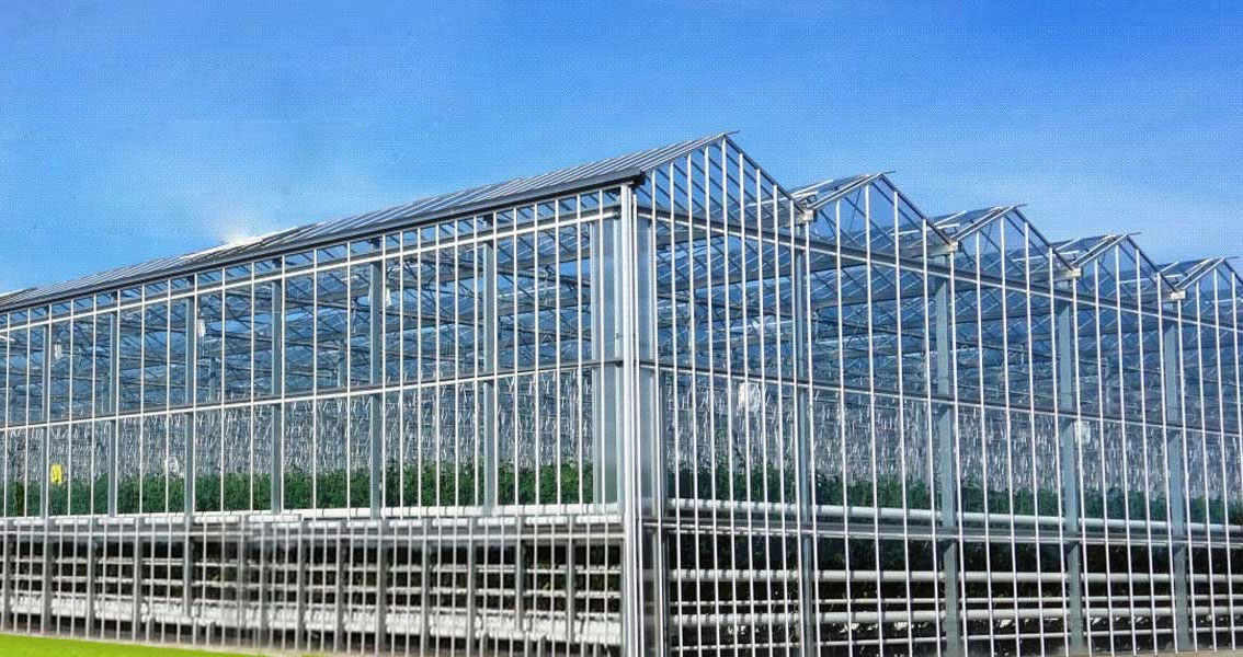 Customized Polycarbonate Greenhouse
