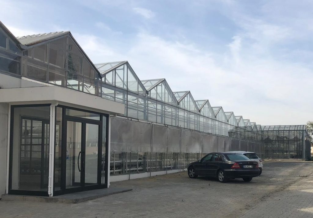 VL Greenhouse with Roof Ventilation